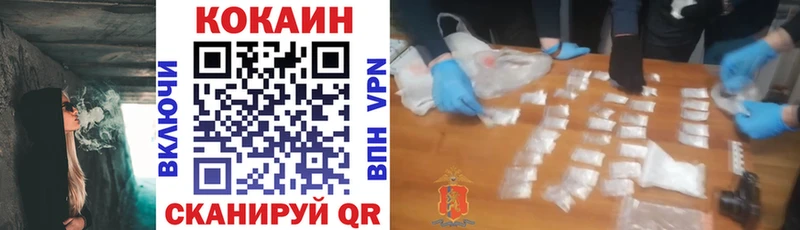 COCAIN Fish Scale  дарнет шоп  Удомля 