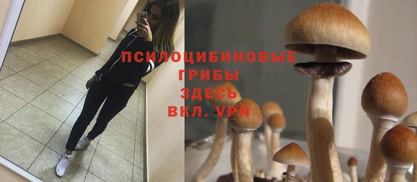 ALPHA PVP Алзамай