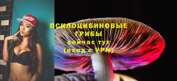 амф Абдулино