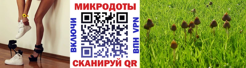 Галлюциногенные грибы Psilocybine cubensis  хочу   гидра как зайти  Удомля 
