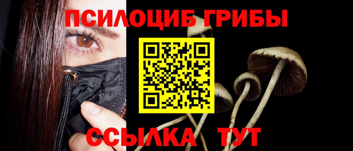 Удомля  Псилоцибиновые грибы Magic Shrooms  Галлюциногенные грибы прущие грибы  Вход с VPN 